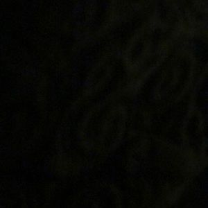 Meet your Posher, Angelina